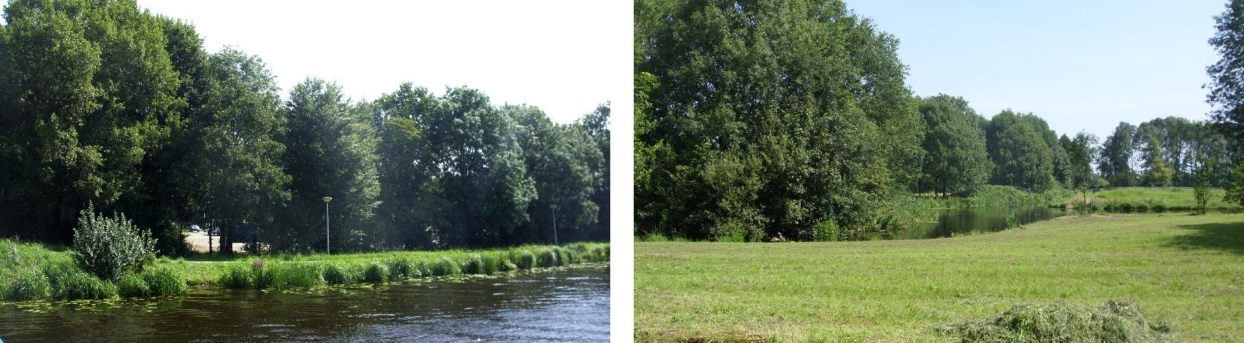 afbeelding "i_NL.IMRO.0547.BPbloemerd-ON01_0006.jpg"
