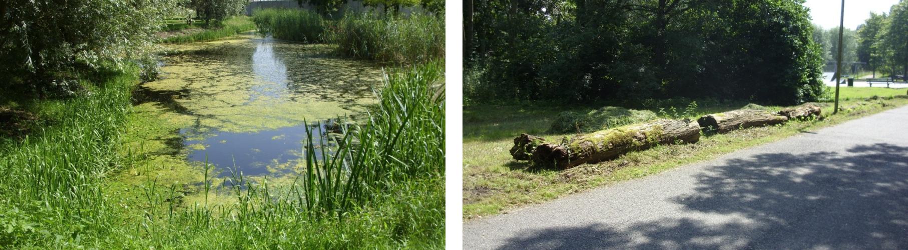 afbeelding "i_NL.IMRO.0547.BPbloemerd-ON01_0009.jpg"